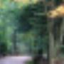 Bungalowpark De Toverberg