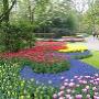 Keukenhof