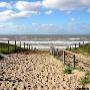 Dicht bij het strand