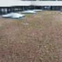 Van Doorn Dakspecialist BV