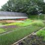 Verhallen Hoveniersbedrijf / Vaste Planten Kwekerij