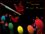 Verwer Dahlia's B.v.