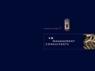 V & M Management Consultants