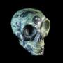 Alienschedel van Kabamba
