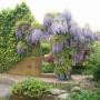 Alnus Tuinontwerpburo