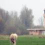 Hove Architektenburo Ten