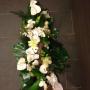 Bloem Design