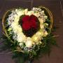 Bloem Design