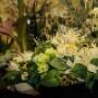 Bloemsierkunst Daan Meurs