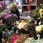 Bloemenwinkel Bergen op Zoom