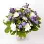 Lobelia Bloemenhuis