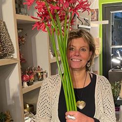 Botanica Bloemenspeciaalzaak