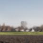 Braak Financiële Diensten