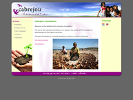 Cabrejou Projecten B.V.