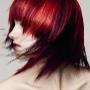 Kapsalon Capelli Hairstyling