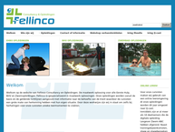 Fellinco Business Development