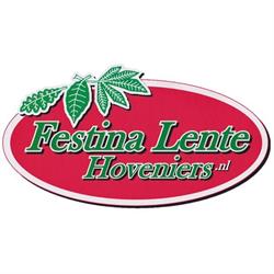 Festina Lente Hoveniers