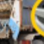 Donk BV Transportbedrijf W B vd