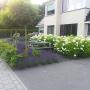 Tuinaanleg Almelo