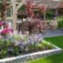 Landelijke tuin