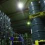 H & S Foodtrans BV