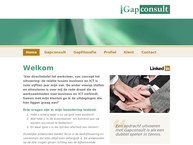Website van Gapconsult 