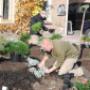 Beplanting
