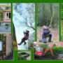 Hoveniersbedrijf Gebr Talens