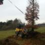 Hoveniersbedrijf Wentink