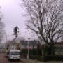 Hoveniersbedrijf Wentink