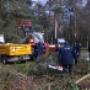 Hoveniersbedrijf Wentink