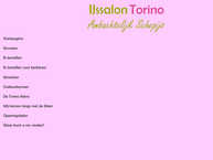 Ijssalon Torino B.v.