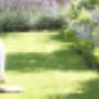 levende tuin Beesel