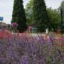 Onderhoudsarme tuin Swalmen