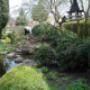 Organische tuin