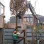 Leibomen plaatsen