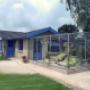 Snorrebaard Kattenpension