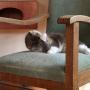 Snorrebaard Kattenpension