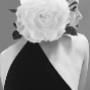 Laura Dols BV