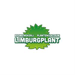 Limburgplant