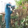 Living Garden