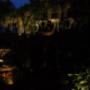 Living Garden