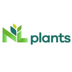 NL Plants
