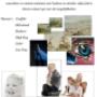 Have Fotografie Lodewijk ten