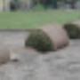 leggen van graszode