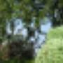 tuinonderhoud