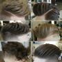 Kapsalon Barbershop Men's-World Herenkappers