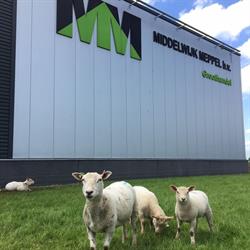 A. Middelwijk & Zn.