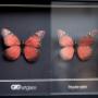 Art glass UV / museumglas