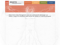 Miete Interim Sales Management